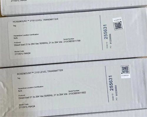 211001L1NAQ4 Rosemount 2110 Vibrierende Gabel Schalter