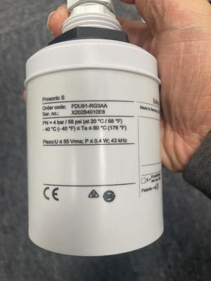 Endress Hauser FDU91-RGZAA Ultraschallsensor zur Messung von Niveau und Durchfluss für die Verbindung mit FMU9x