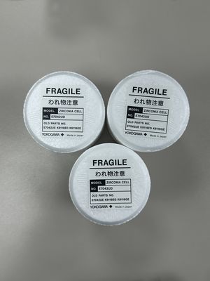 ZR01A01-01 Yokogawa Zirkoniezellmontage