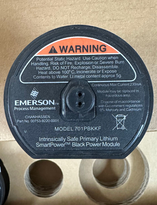 EMERSON 701PBKKF 701P SmartPower-Modul
