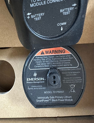 EMERSON 701PBKKF 701P SmartPower-Modul