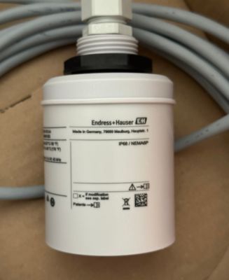 Endress Hauser FDU91-RG1AA Ultraschall-Füllstandssensor