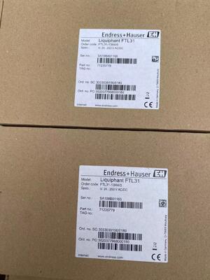 Endress Hauser FTL31-13X4/0 Zuverlässiger Tuning Fork Level Switch