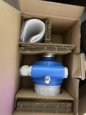 Endress Hauser FTL50-1DN80/0 Vibronische Punkt-Level-Schalter