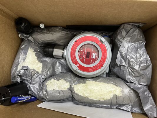 Teledyne 965-525420-100 Hochzuverlässiger katalytischer Sensor für brennbare Gase